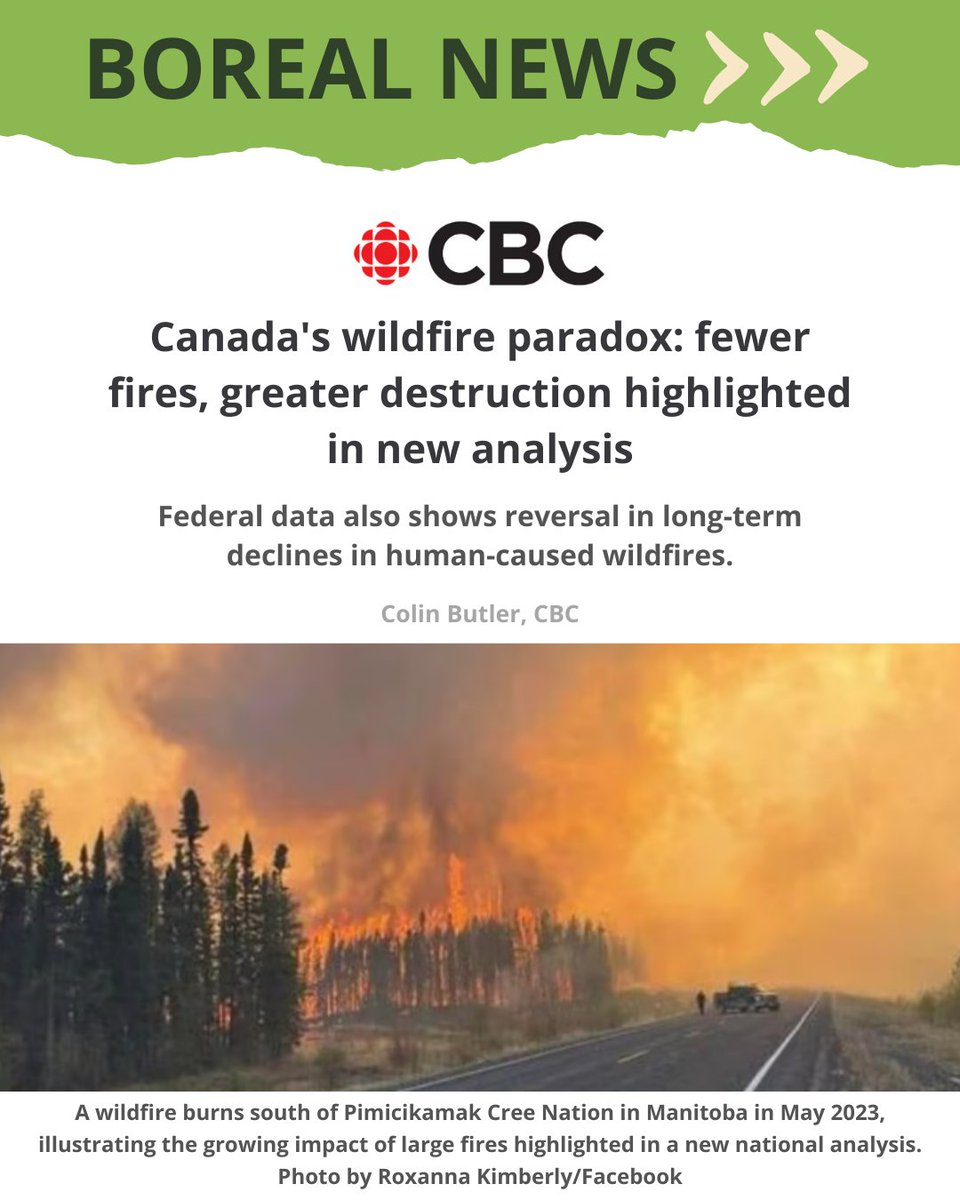 Boreal Conservation tweet media