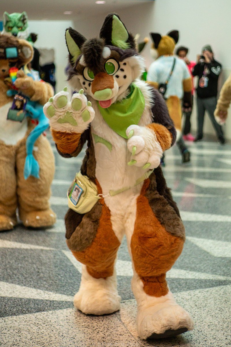 wemblepaws's tweet photo. oh hai there… OwO 

photo by tsespato on furtrack 

happy #fursuitfriday btw https://t.co/dyYEAaOj2F