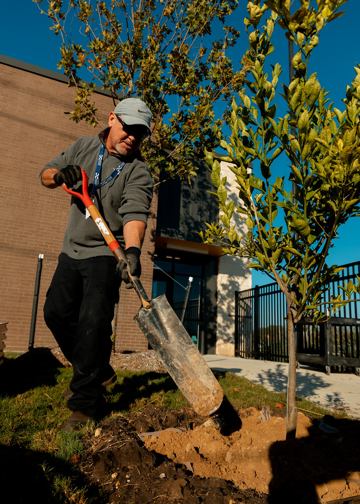 Pre-K 4 SA tweet media