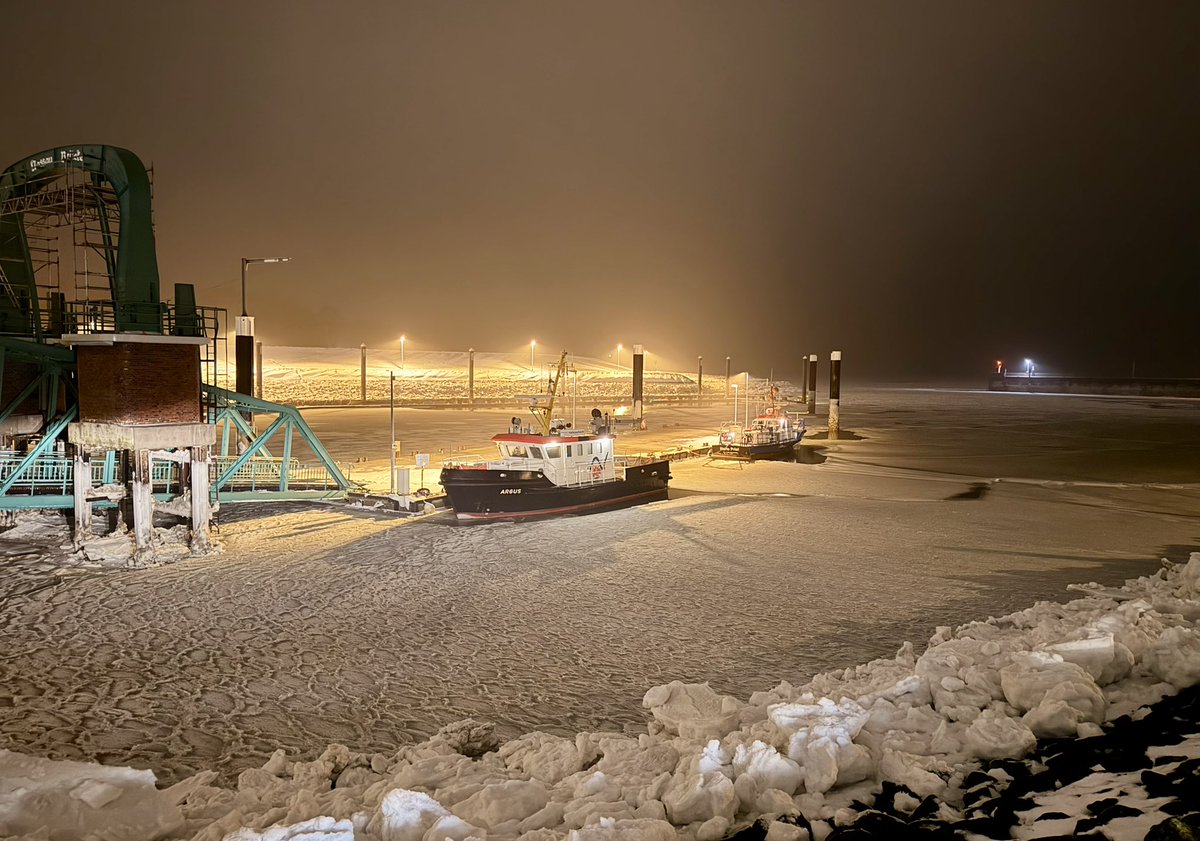 Malte Kirchner  tweet media