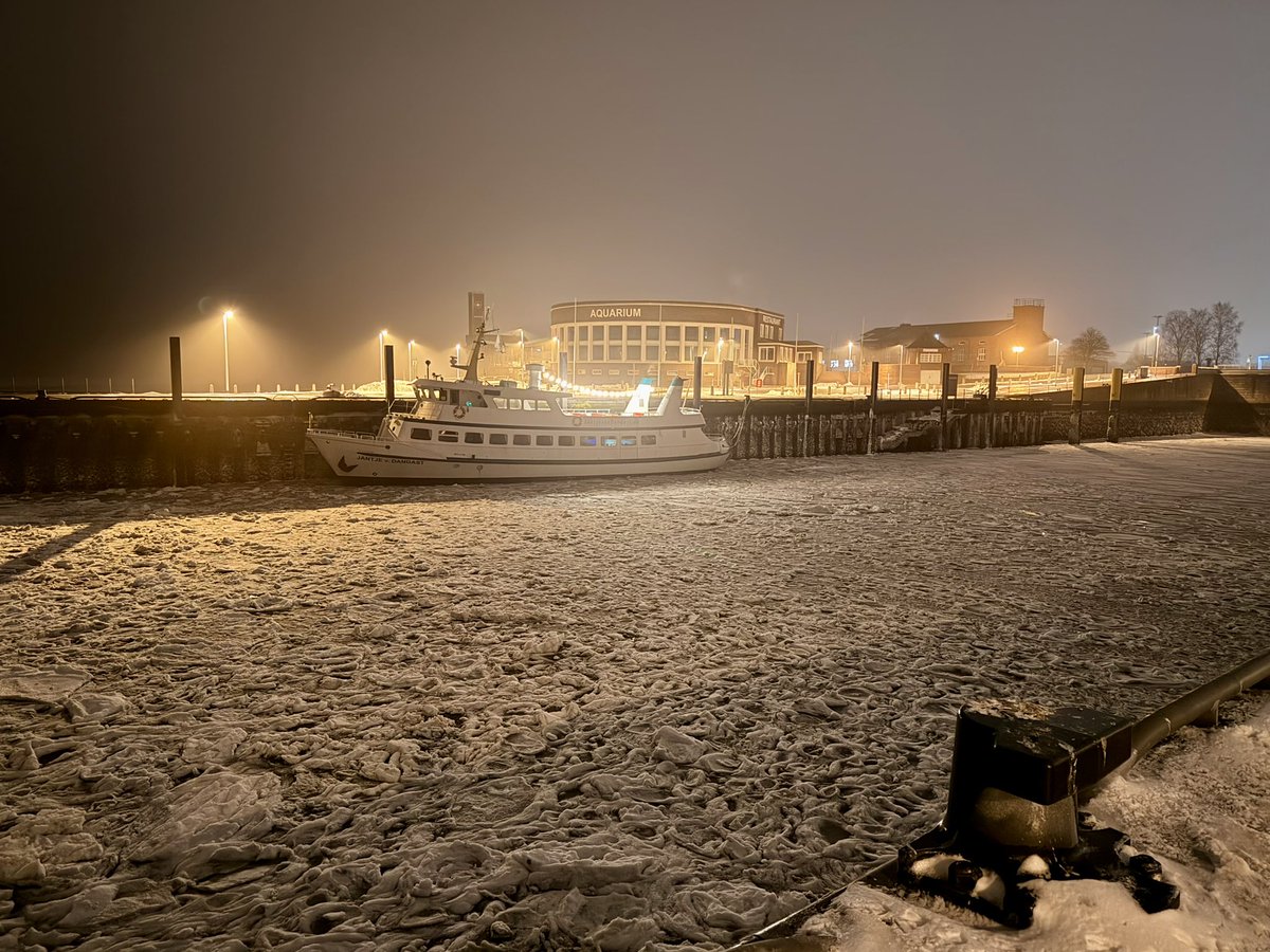 Malte Kirchner  tweet media