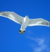 LABLtd's tweet image. 料理が趣味になってきた 🙃