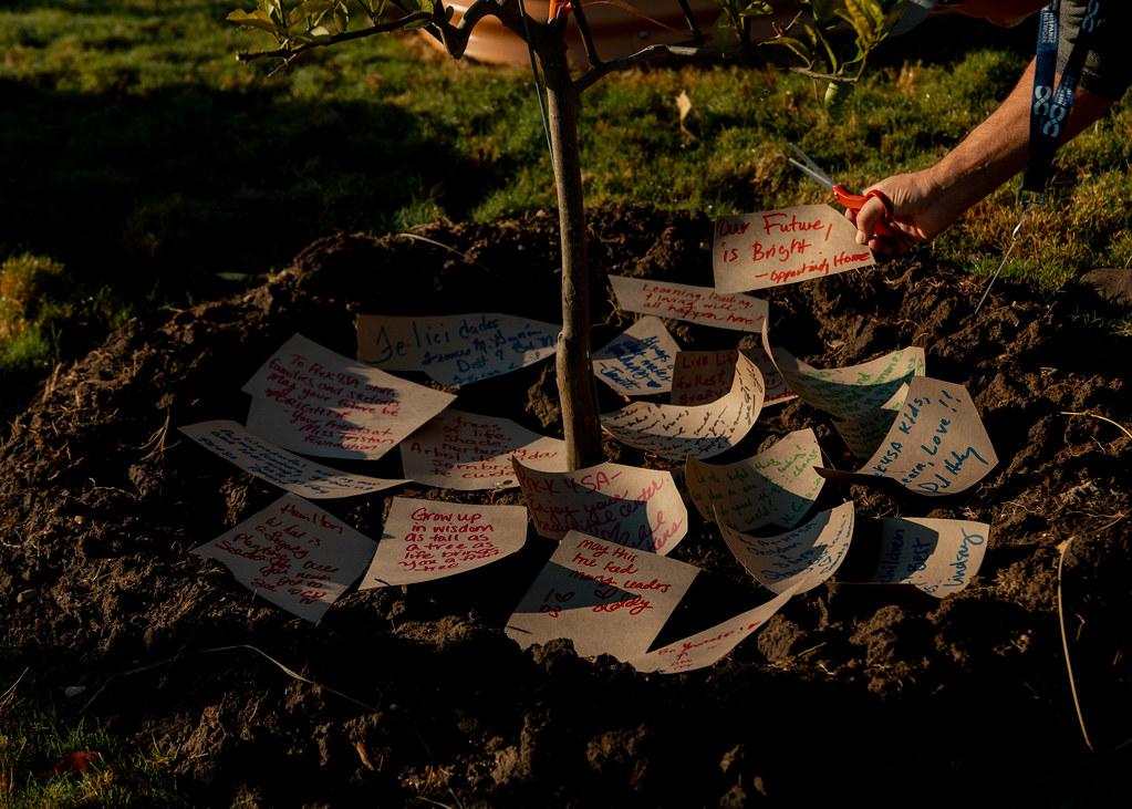 Pre-K 4 SA tweet media