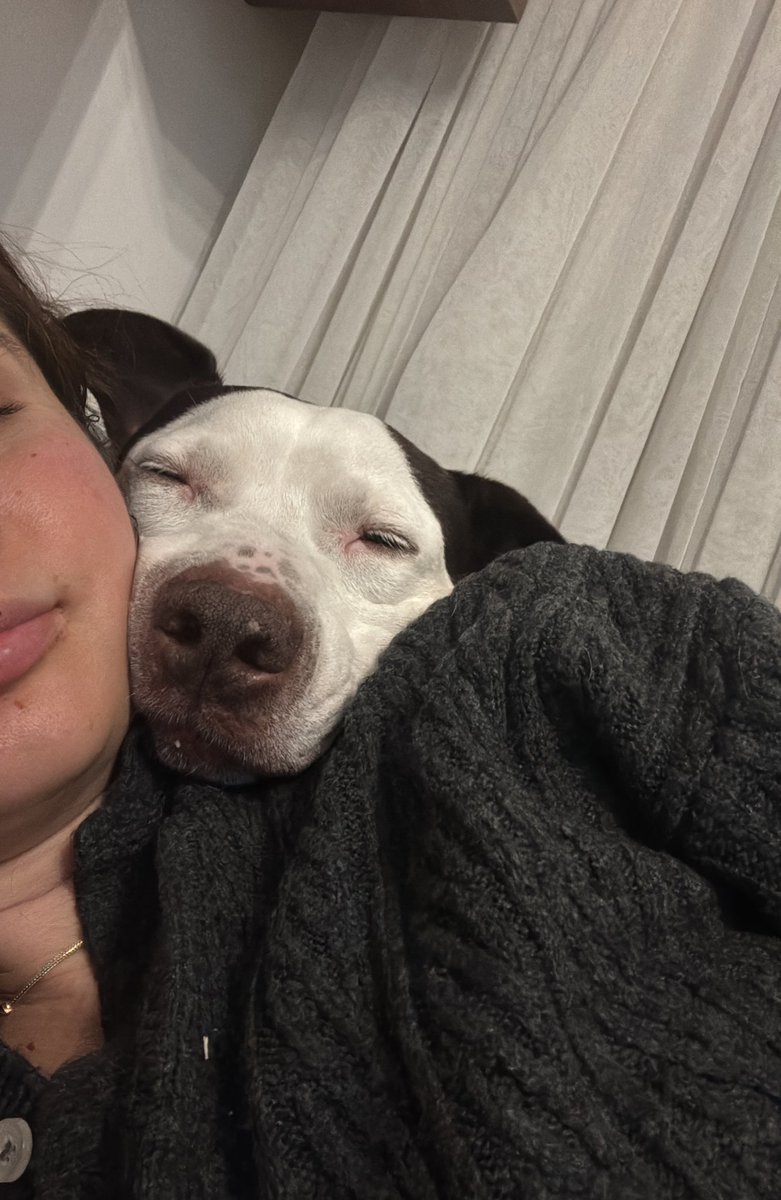 Ben Melo 
Beni tanıyanlar bana melek gibi der.  Çünkü ben bi karınca kadar zararsız bir canlıyım. Ben de terk edildim ve mucizevi bir şekilde barınaktan kurtuldum. Eğer kurtulmasaydım beni hiç tanımayacaktınız tıpkı hiç bir suçu olmadan katledilen yüzlerce kardeşim gibi…