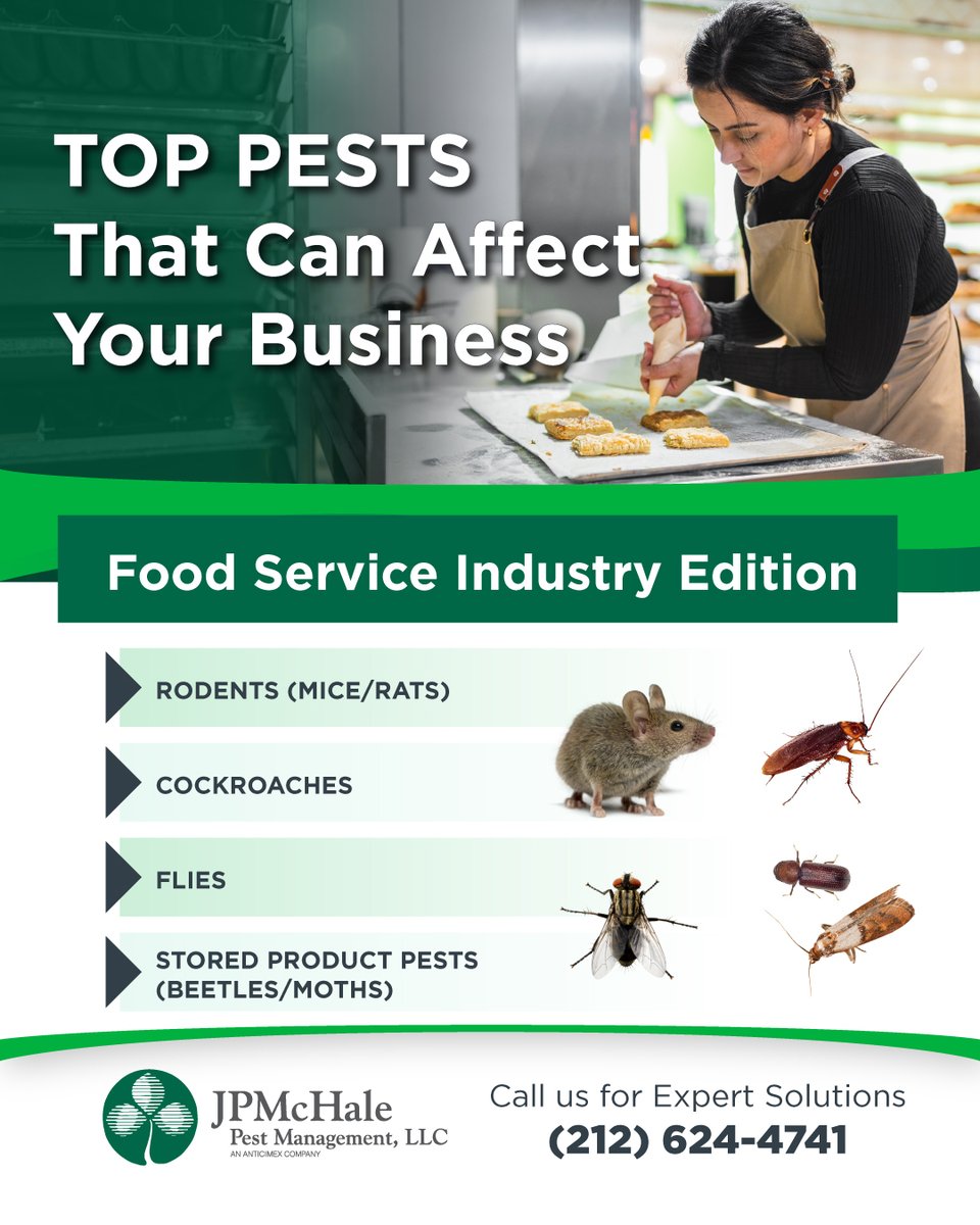 JP McHale Pest Management LLC tweet media