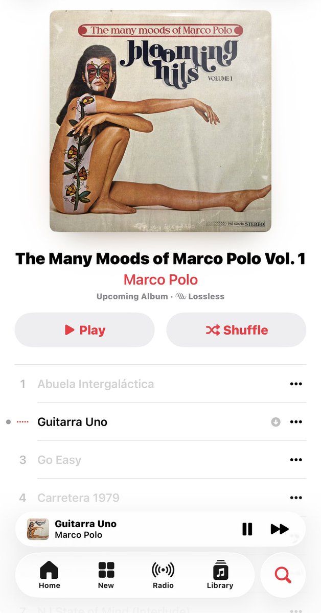 Marco Polo tweet media