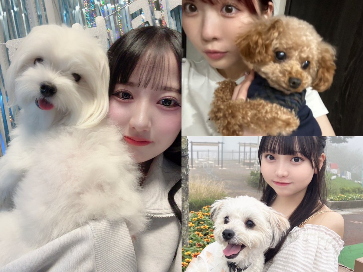 SKE48まとめんばー (@SKE4851929834) / Posts / X