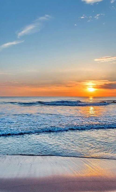 ひろし＠投資初心者_jp55 tweet media