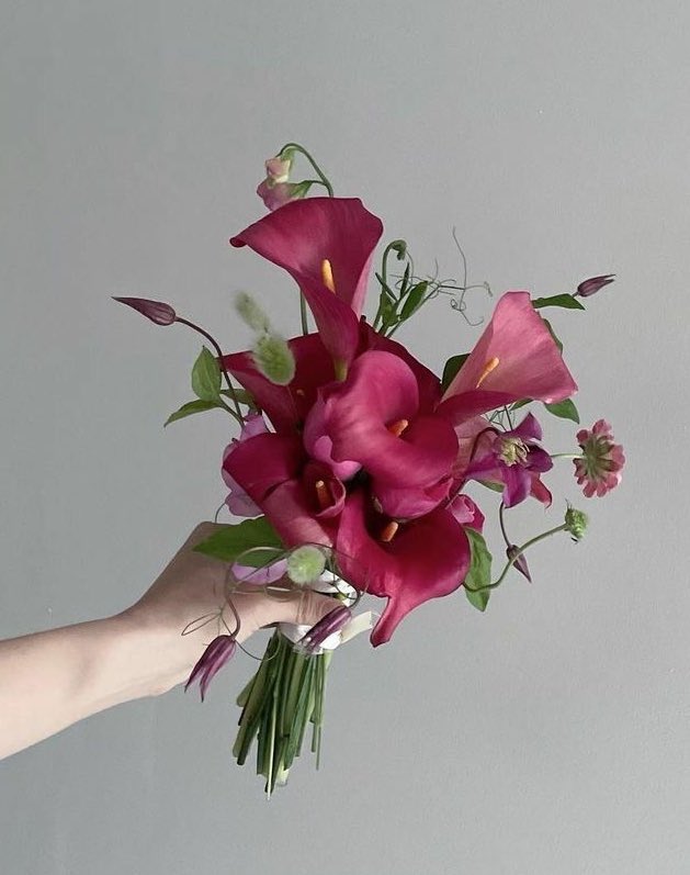 i3Moment's tweet photo. Calla lilies https://t.co/cCNgjKIPFv