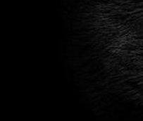 DavidDraws's tweet image. 昼下がりはテレビの時間 💫