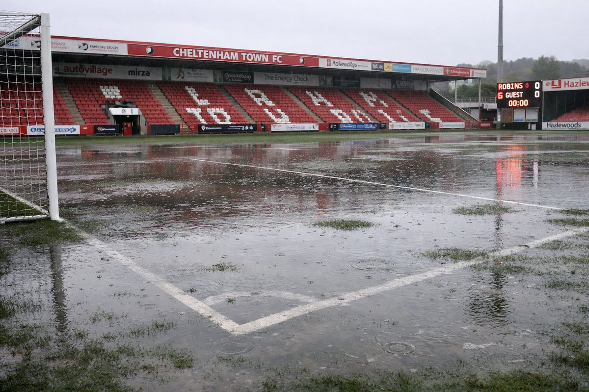 daletyler tweet media