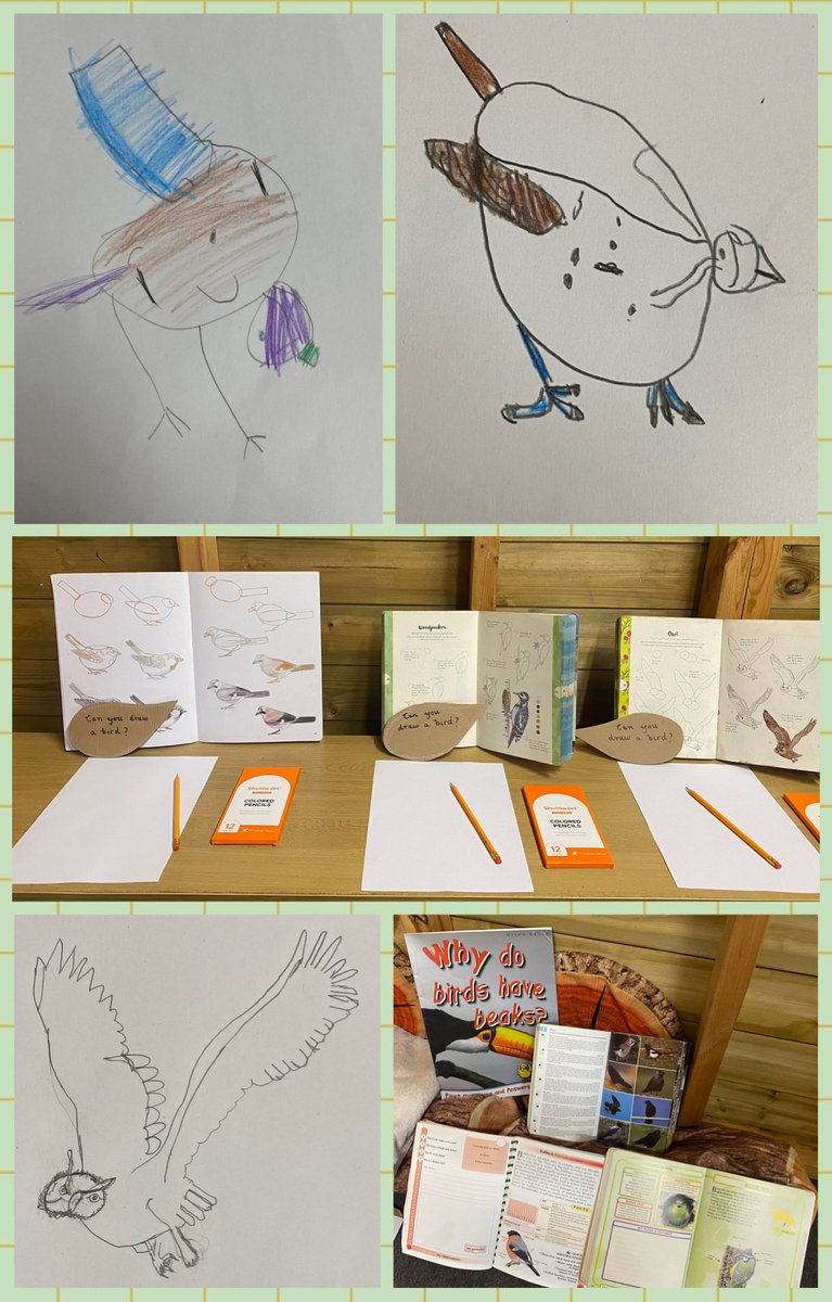 Flynn In The Forest tweet media