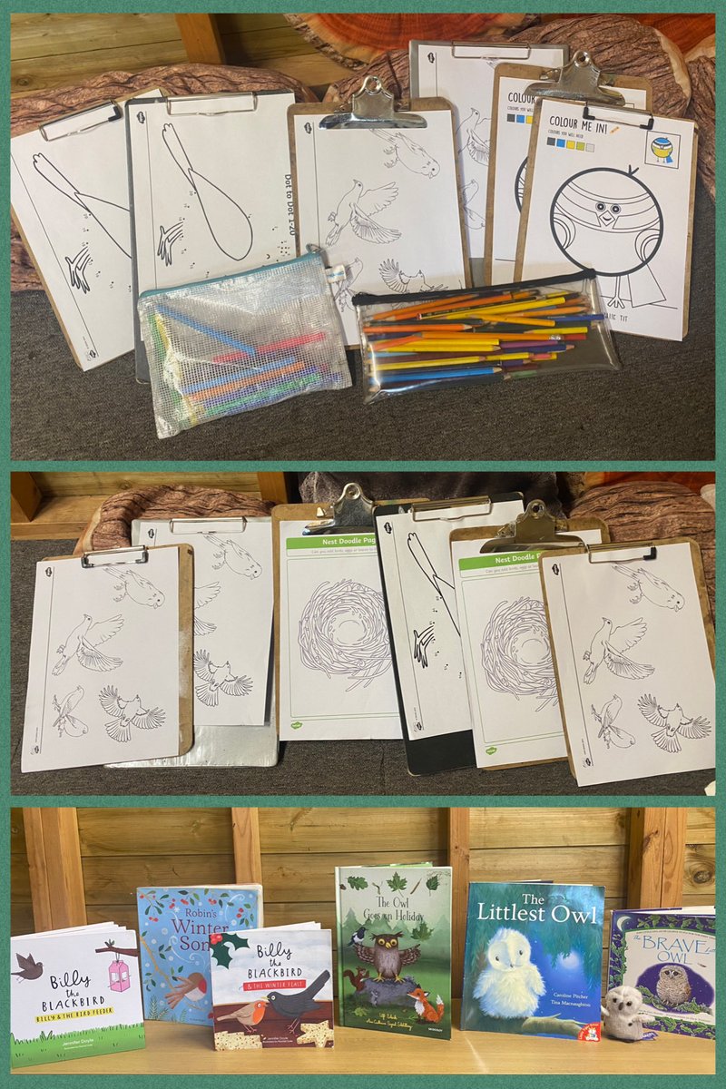 Flynn In The Forest tweet media