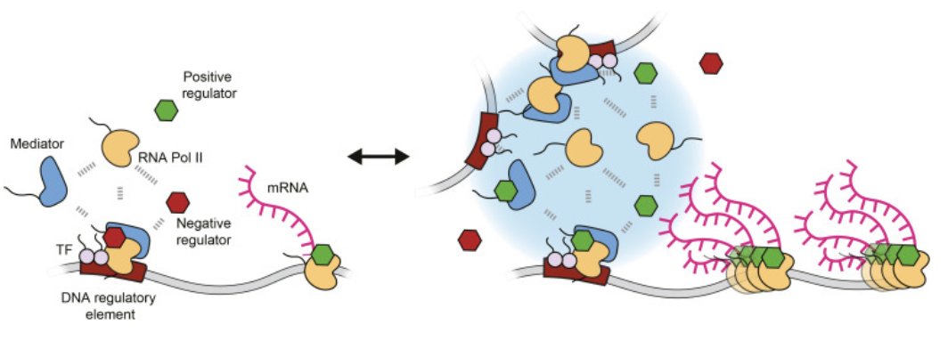 Ben Sabari tweet media