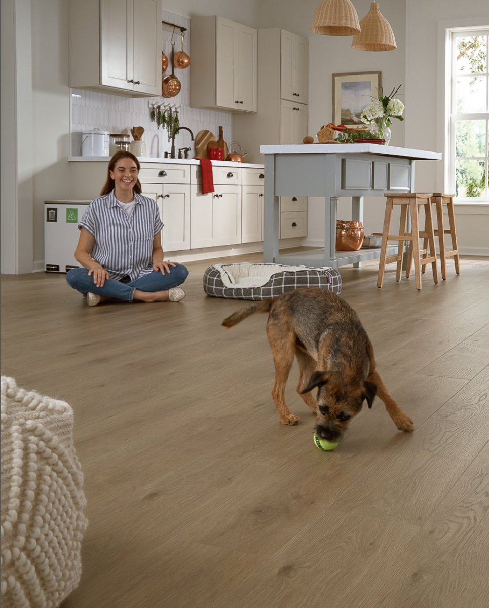 ZnetFlooring's tweet image. Step into fall with floors that are as durable as they are beautiful!

Shop below:
🔗 znetflooring.com (Link in bio)

🎥 @MohawkFlooring

#ZnetFlooring #NewFloors #HomeInspo #InteriorDesign #InteriorLove #MohawkFlooring #HomeFloors