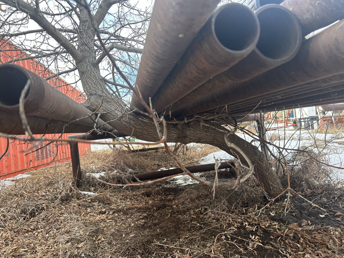 Curtis Hoffmann tweet media