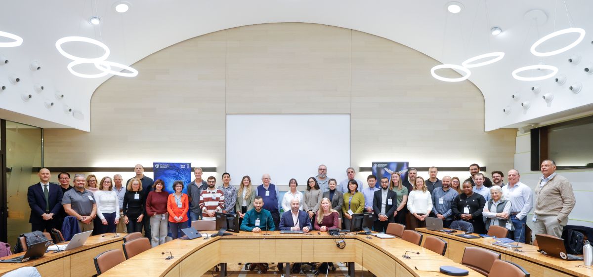 Hrvststrategies's tweet photo. Fisheries experts met at @FAO HQ in Rome for the Global Tuna RFMO MSE Workshop.

Key themes: science-management communication, capacity building, timelines, and MSE to tackle uncertainty &amp; climate change.

 Read our blog: https://t.co/BytJOLYKlf
#Fisheries #TunaRFMOs #MSE https://t.co/rbTVurpWcY