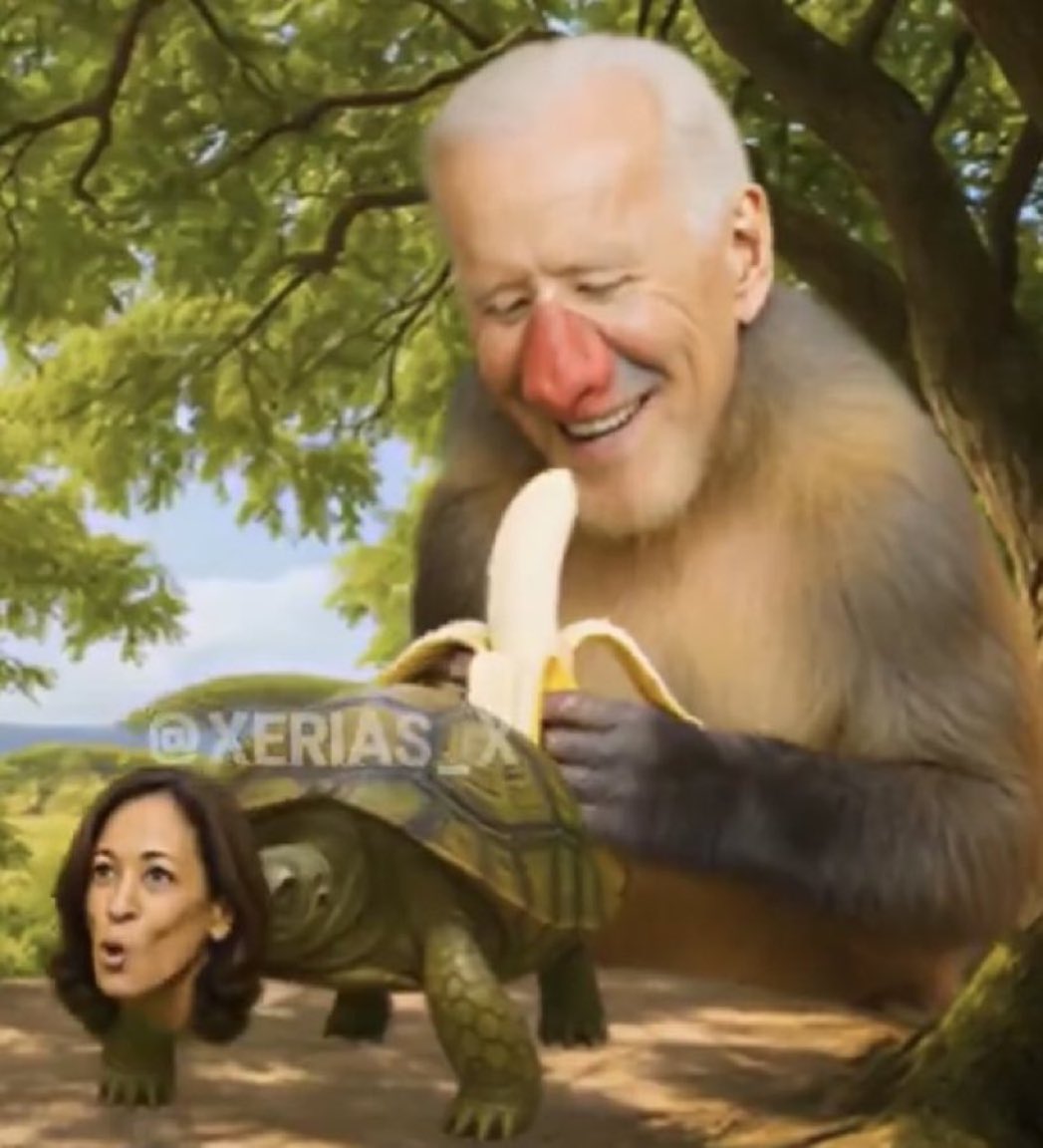 booker9e1 tweet media