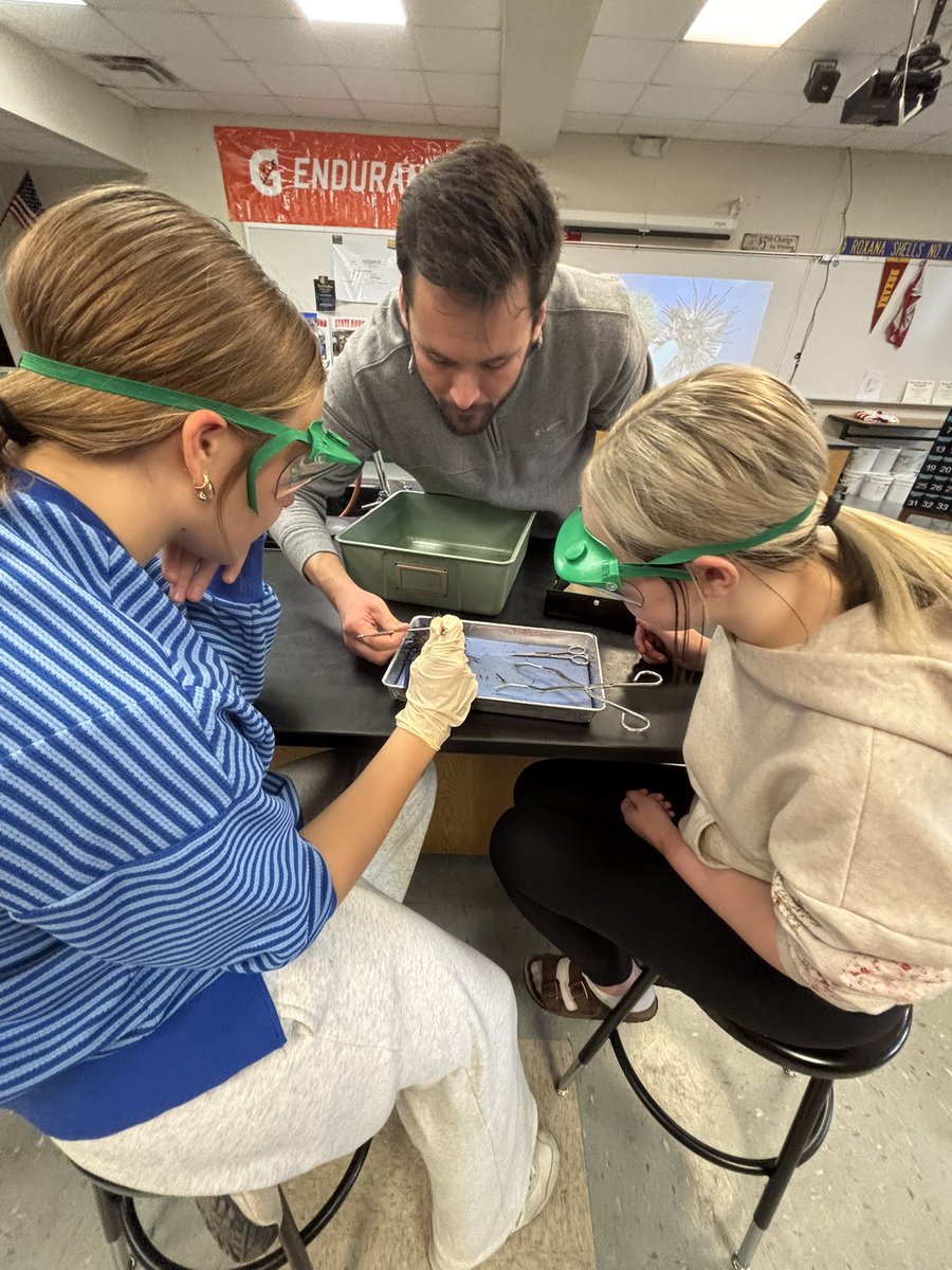 DandurandJason's tweet photo. RHS Shells really came out of their shells today in Mr. Scamihorn’s biology Sea Urchin lab dissection today! Students demonstrated collaboration, curiosity, and bravery…sticking right to the point of the lesson…😜 #marinebiology #science #GoShells #CommunityOfLearners https://t.co/1LzhYeowby