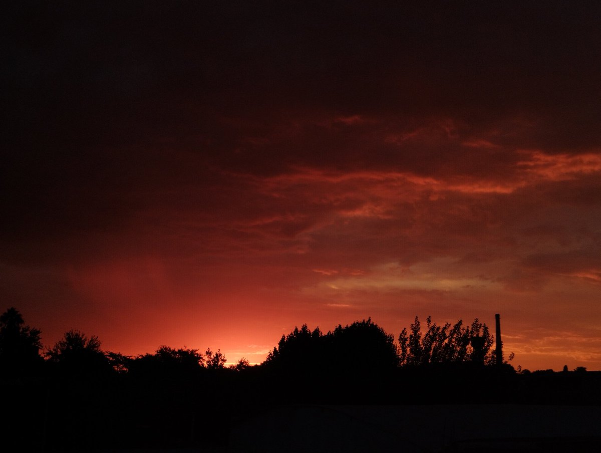 sparksofdaisy's tweet image. user sparksofdaisy off tw