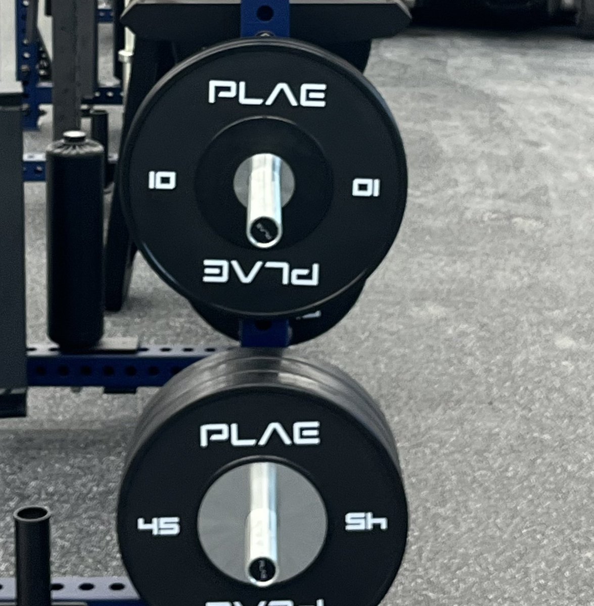 RandolphStrong tweet media