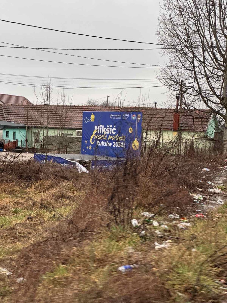 Golub 086 tweet media