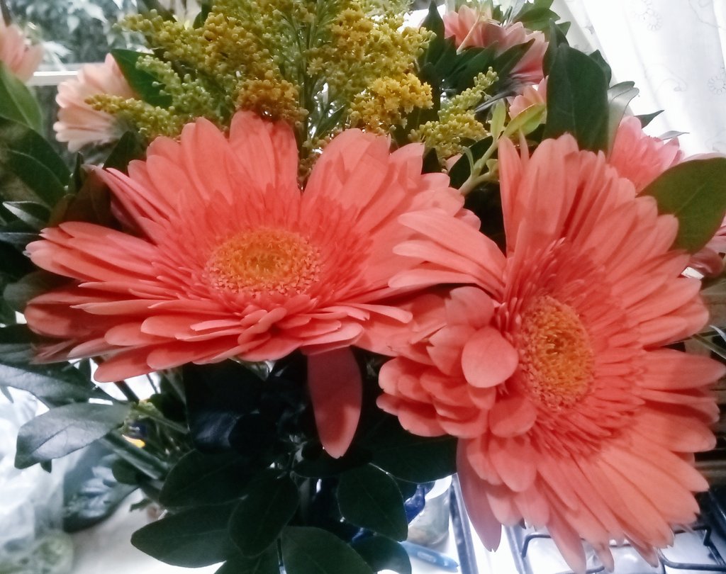 Traveling book blog tweet media