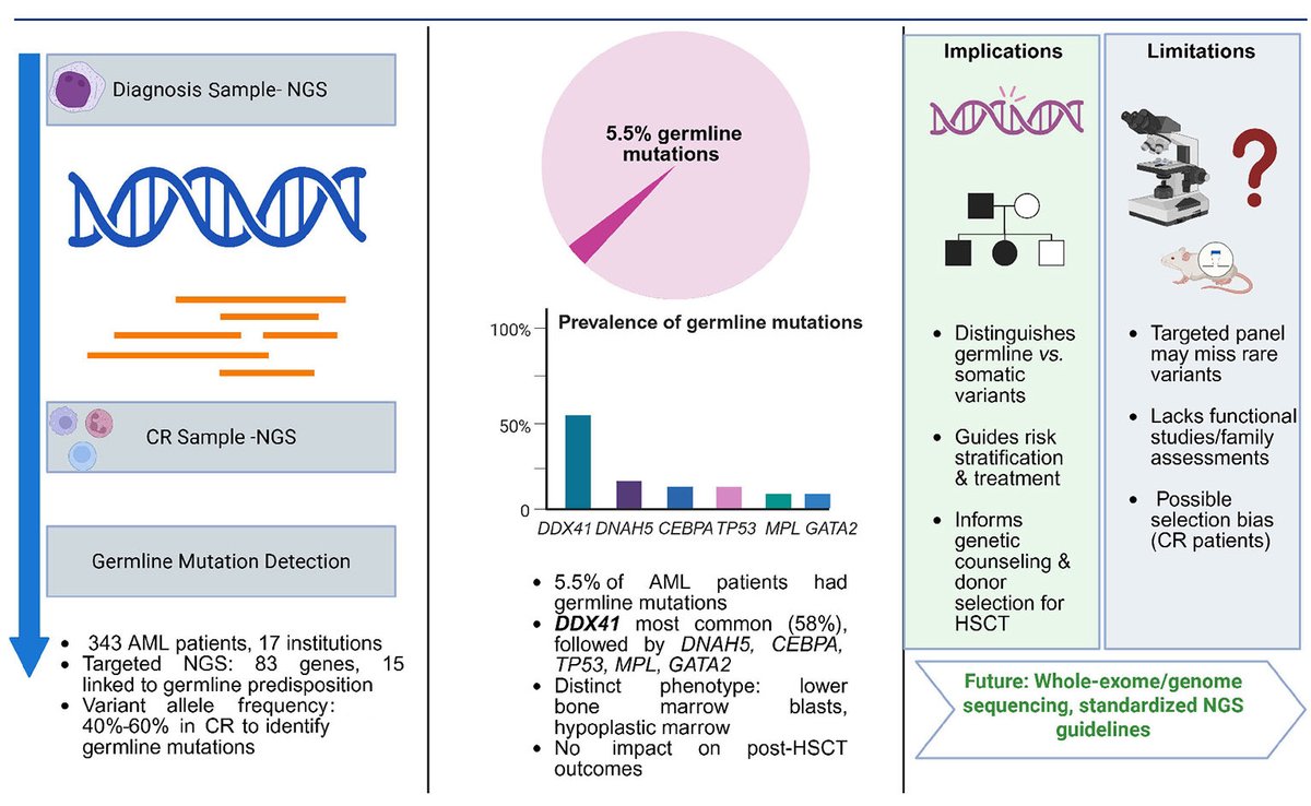 sanamloghavi's tweet image. We enjoyed writing this commentary on identifying germline predisposition in patients with AML on a very nice paper by Ahn et al recently published in @Haematologica 
Hope you enjoy reading it and find it helpful. 
#hemepath #LeuSM
haematologica.org/article/view/1…