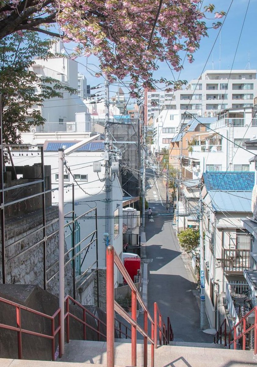 SLapeko's tweet image. 今日は穏やか霧だ 🤪