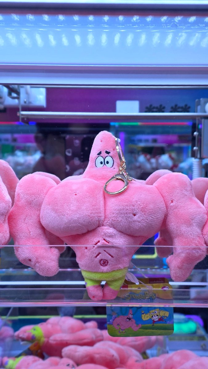 요즘 내 쭈구미? 추꾸미? 그거임