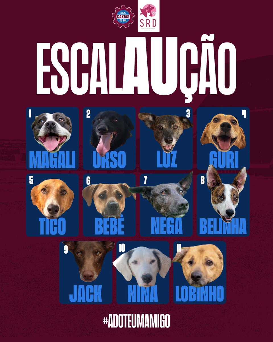 sercaxias's tweet image. 🐶 Hoje a escalação é uma escalAUção!
Tem craque de quatro patas pedindo passagem.

Caxias e Ypiranga chegam ao gramado acompanhados de cães resgatados, em uma ação de adoção responsável com a ONG SRD.