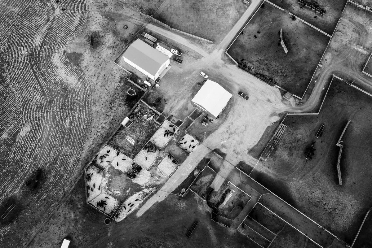 DunRiteSS's tweet photo. DRSS has been built through years of steady, thoughtful work. Experience matters in agriculture, and reputation reflects a long commitment to doing things right, season after season. 
Thanks for your support of our family farm. Your beef, cattle, bull mean the world to us. https://t.co/EAFOY8LeTj