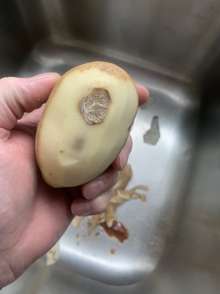 Festivus Co-ordinator and HUMAN Fund CEO tweet media