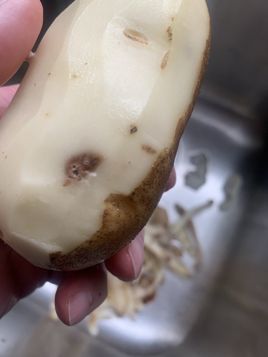 Festivus Co-ordinator and HUMAN Fund CEO tweet media