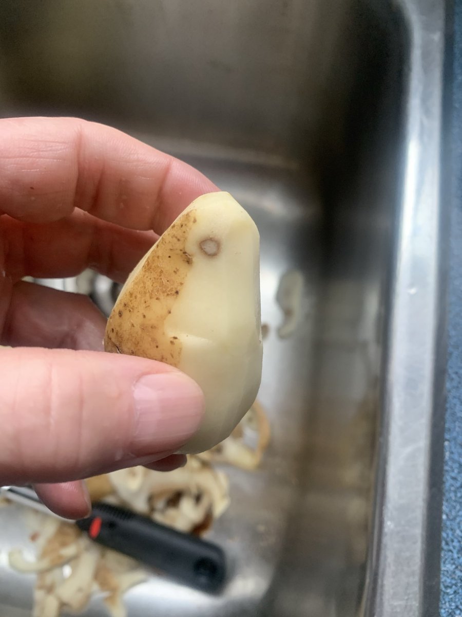 Festivus Co-ordinator and HUMAN Fund CEO tweet media