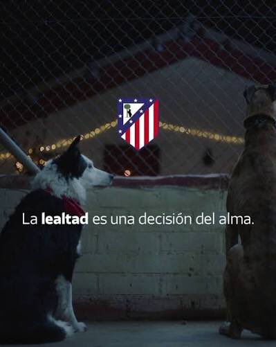 rubennatm's tweet image. Inigualable.