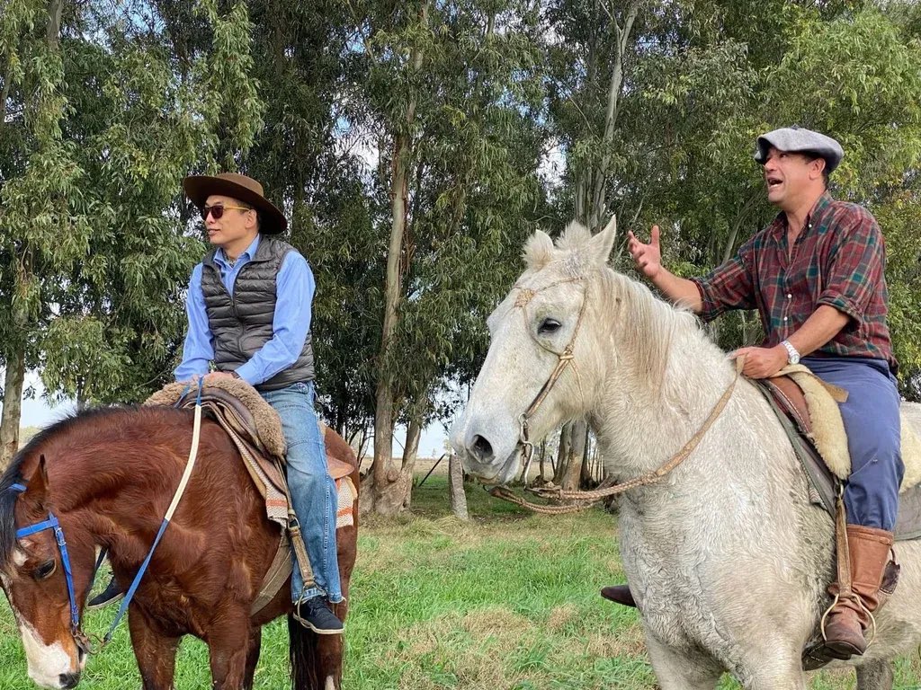 camboue's tweet image. En Julio del 2022 comenzamos este periplo que hoy se está terminando . En Puntas de Maciel le pedimos formalmente la posibilidad de exportar caballos deportivos a China a Caí Wei, hoy Vice Canciller Chino.
Las noticias de gira uruguaya dan cuenta que hoy se terminó este proceso