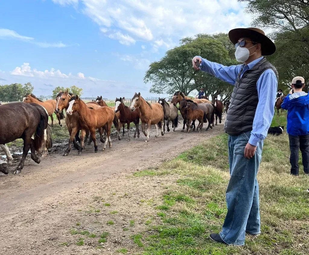 camboue's tweet image. En Julio del 2022 comenzamos este periplo que hoy se está terminando . En Puntas de Maciel le pedimos formalmente la posibilidad de exportar caballos deportivos a China a Caí Wei, hoy Vice Canciller Chino.
Las noticias de gira uruguaya dan cuenta que hoy se terminó este proceso