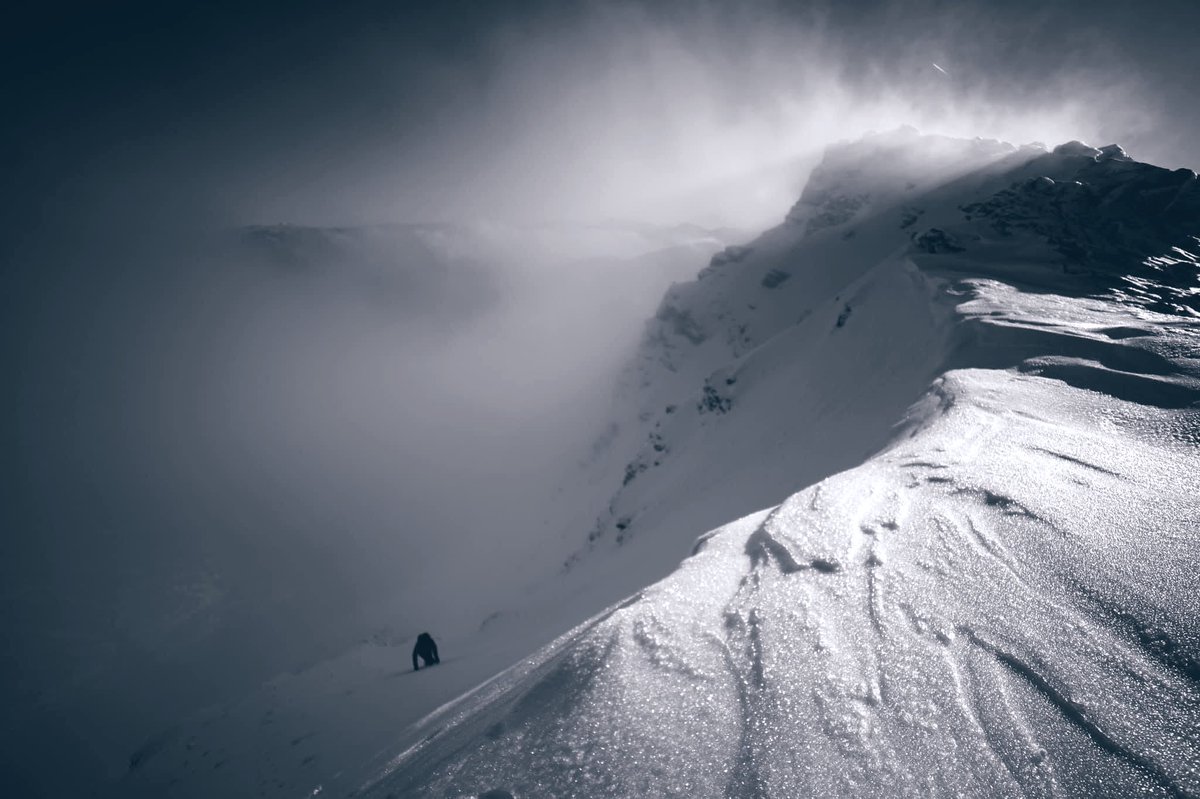 Iain Cameron tweet media