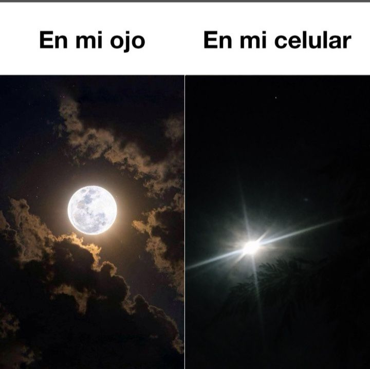 Rincón Curioso tweet media