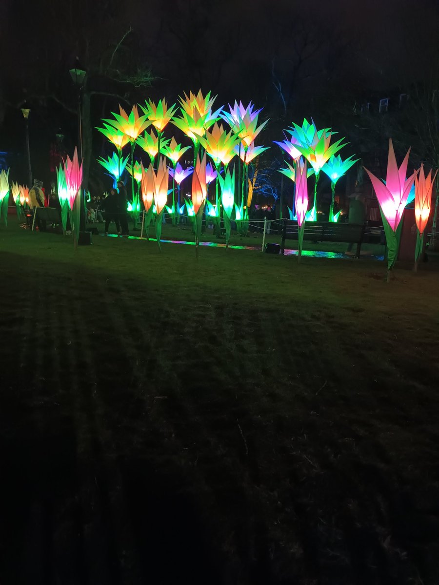 sheltie21's tweet photo. A couple of my favs from @SPECTRAaberdeen #Spectra2026 #windowonmyworld #granitecity @LynnParsonsUK https://t.co/R33gpGkG5E