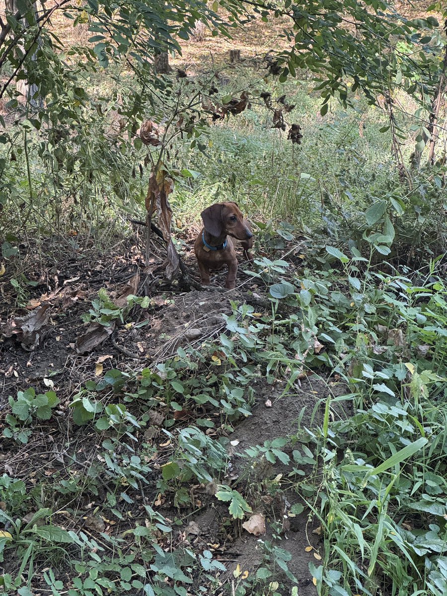 Antti Myllyharju tweet media