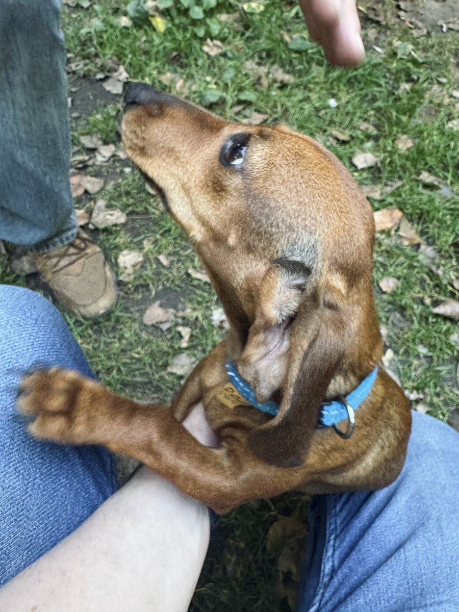 Antti Myllyharju tweet media