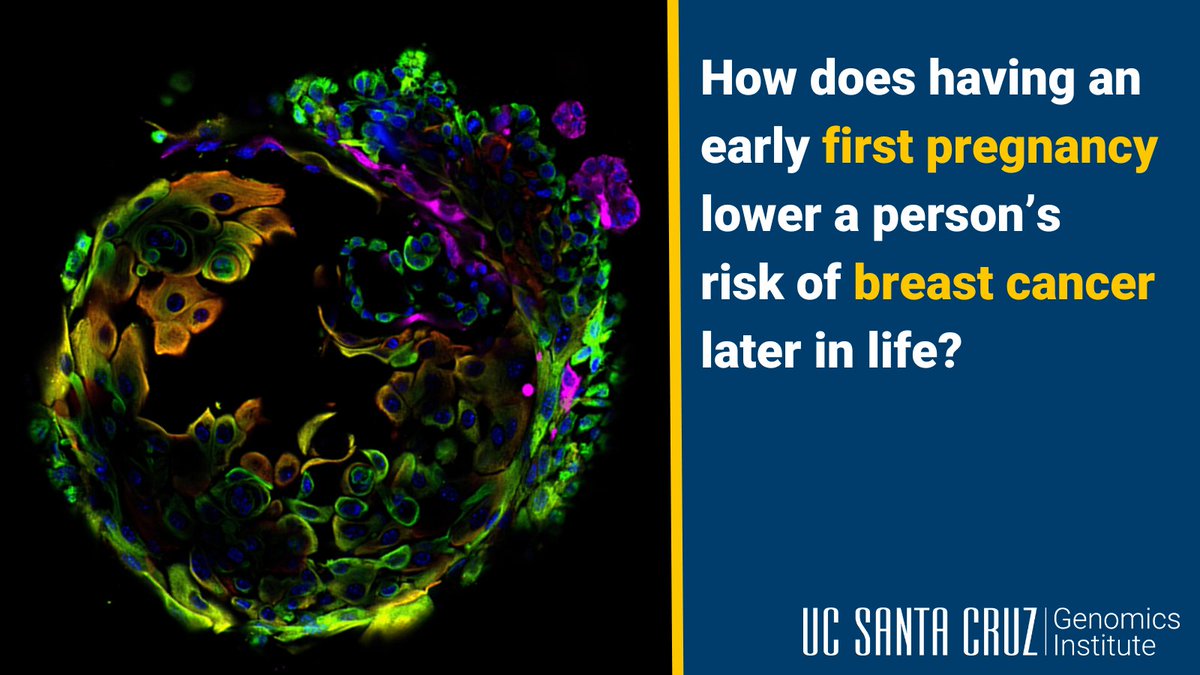 UC Santa Cruz Genomics Institute tweet media