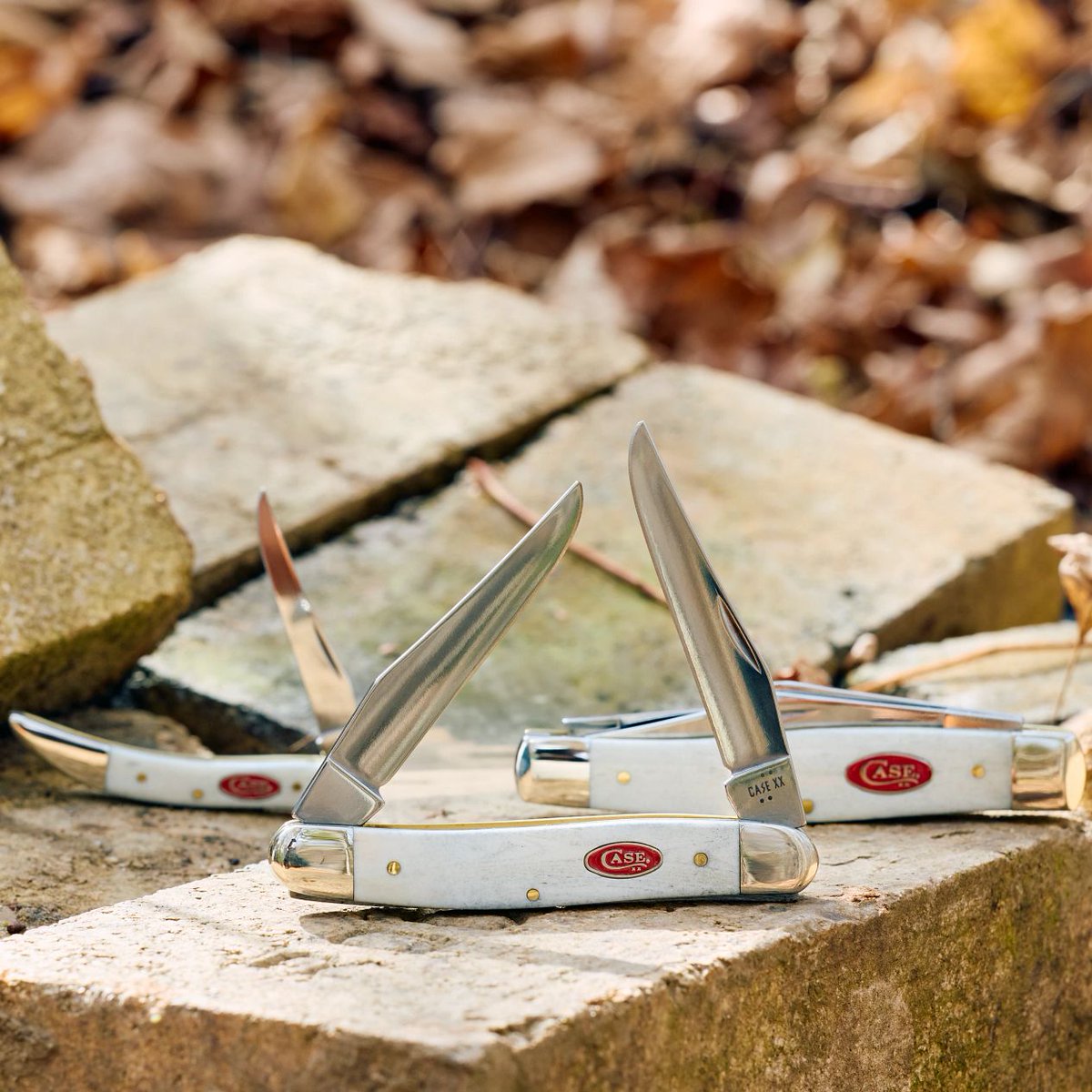 Case Knives tweet media