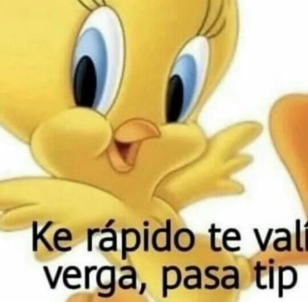 memes feos yo qué sé (@memefeos) on Twitter photo 