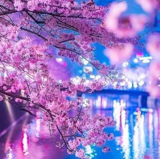 aubertph's tweet image. 国はどれかな？ 🤒