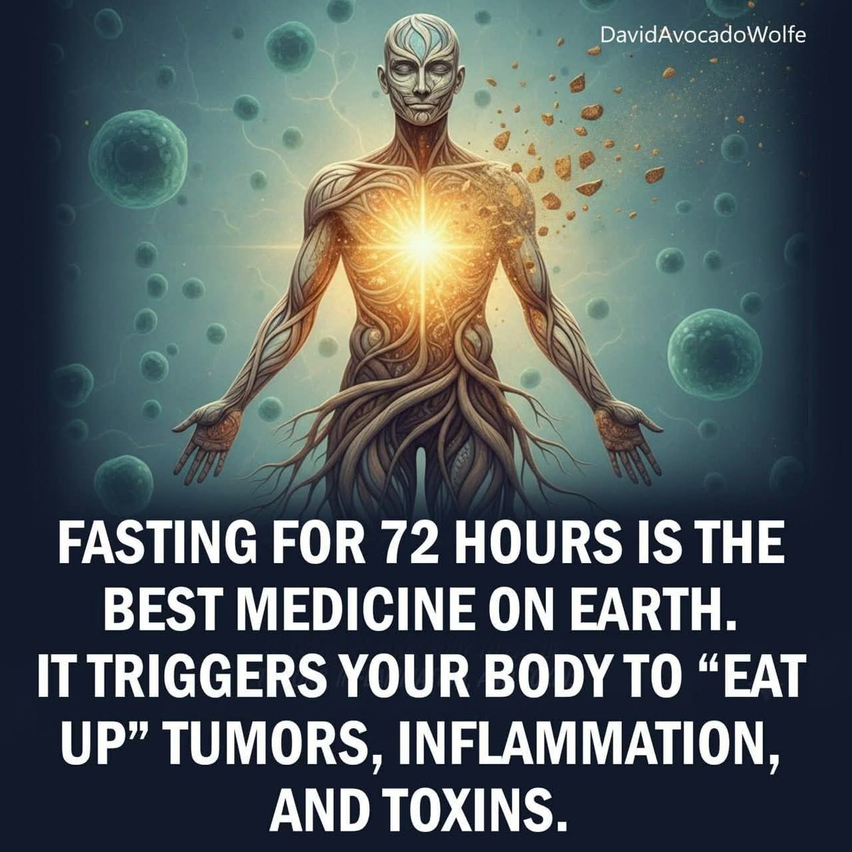 DavidWolfe's tweet image. 