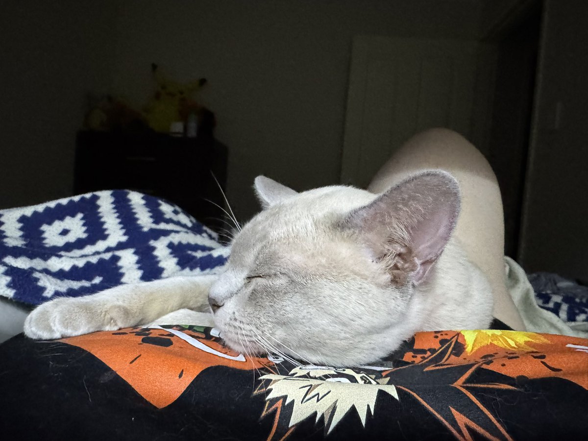 FiercelySquishy 🦊🔪(Yandere EngVtuber) tweet media