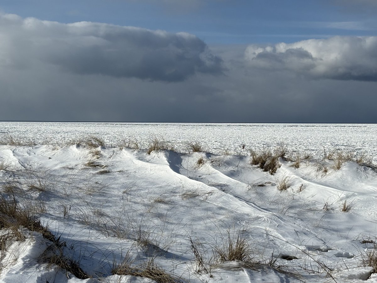mmuhlfelder's tweet image. #capecodbay imitating another planet. Underneath it all is a #calmocean